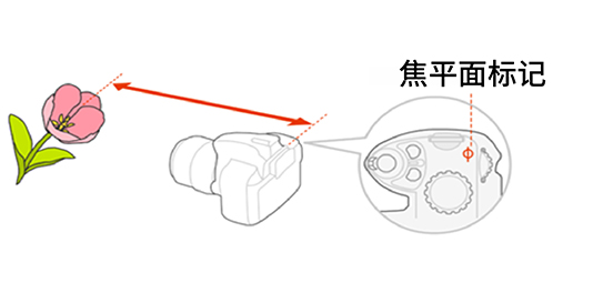 ユーザが追加した画像