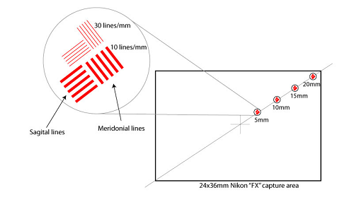 Sagittale und meridionale Linien